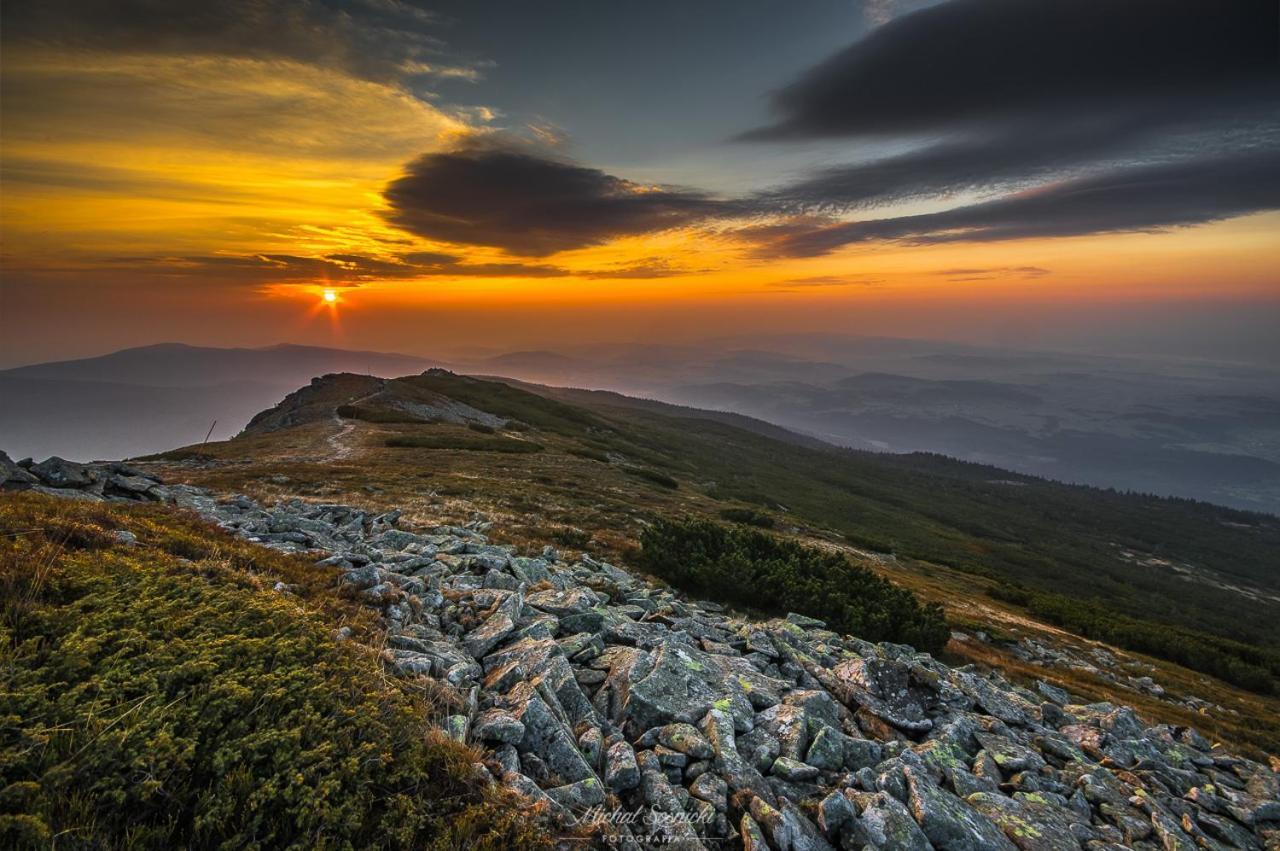 زافوية Beskid المظهر الخارجي الصورة