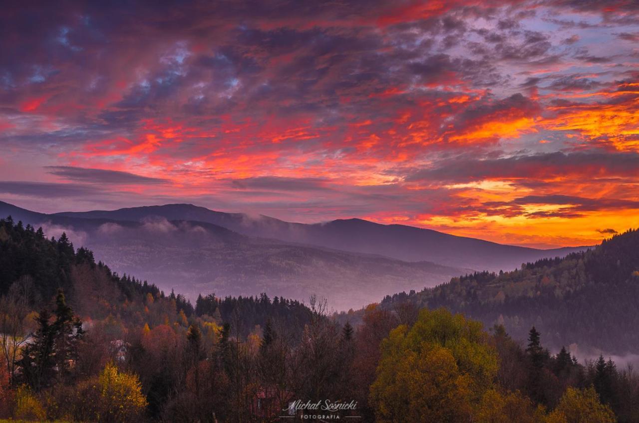 زافوية Beskid المظهر الخارجي الصورة